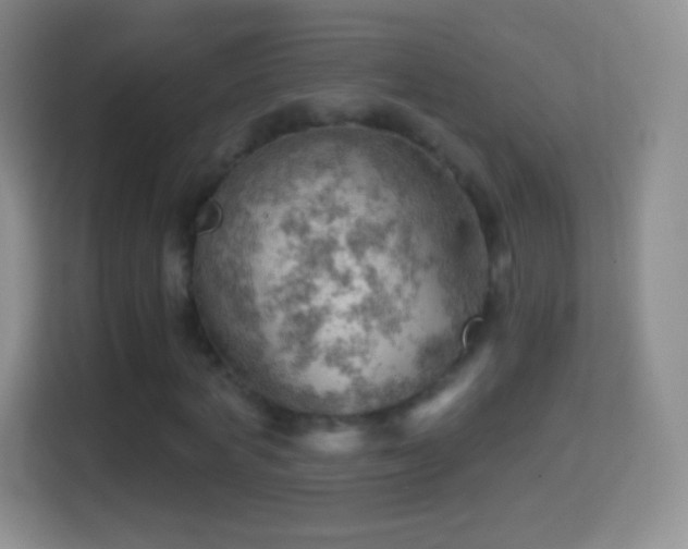X0000114430772200910231233