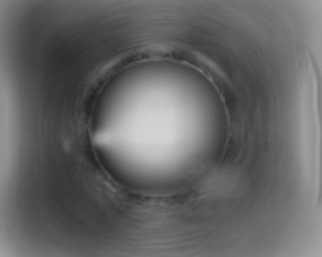 X0000114430773200910231233