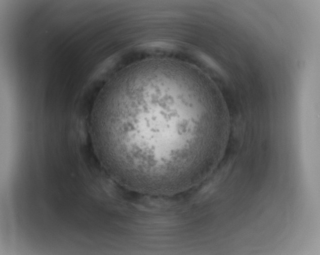 X0000114430774200910231233