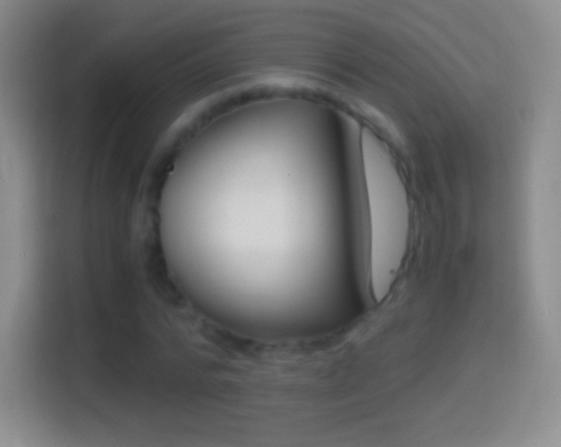 X0000114430776200910231233