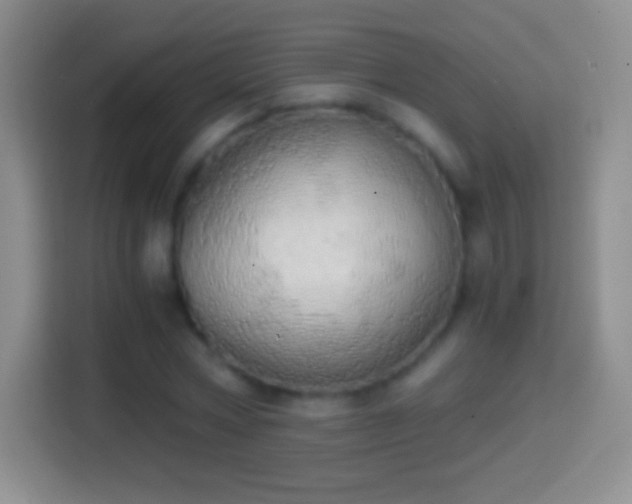 X0000114430778200910231233