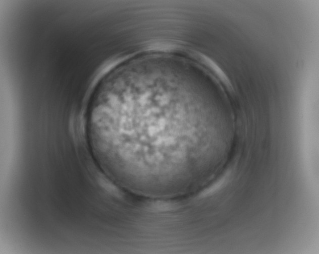 X0000114430779200910231233