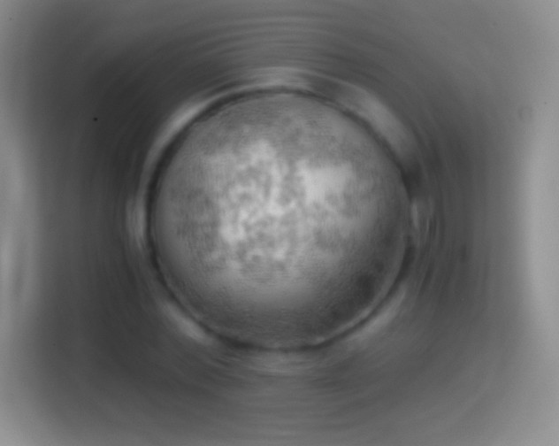 X0000114430780200910231233