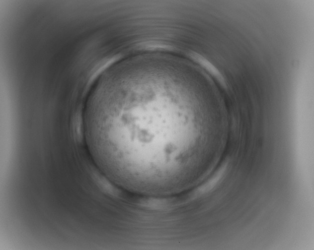 X0000114430782200910231233