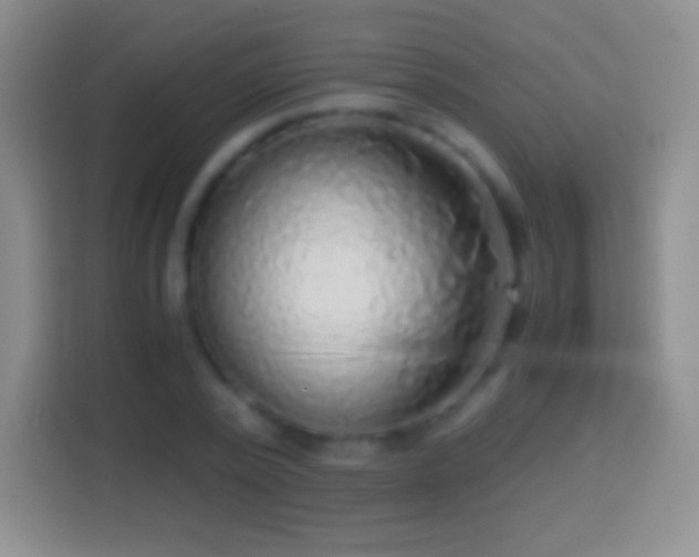 X0000114430784200910231233