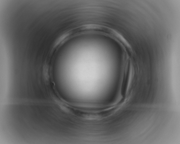 X0000114430786200910231233