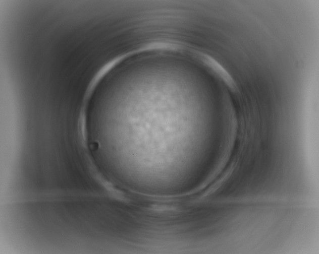X0000114430788200910231233