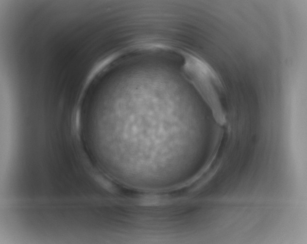 X0000114430790200910231233