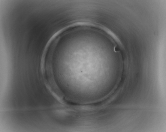 X0000114430791200910231233