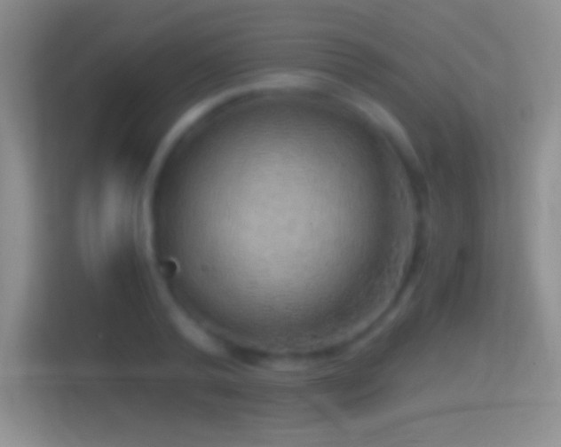 X0000114430792200910231233