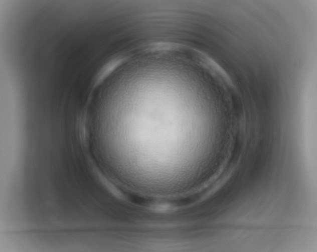 X0000114430794200910231233
