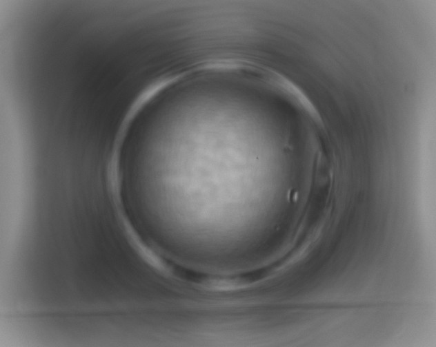 X0000114430795200910231233