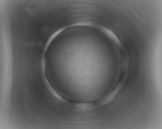 X0000114430804200910231232