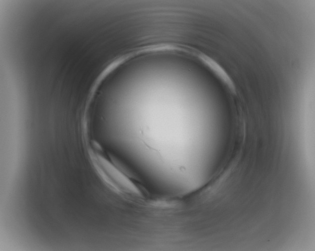 X0000114430805200910231232