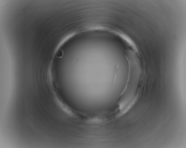 X0000114430806200910231232