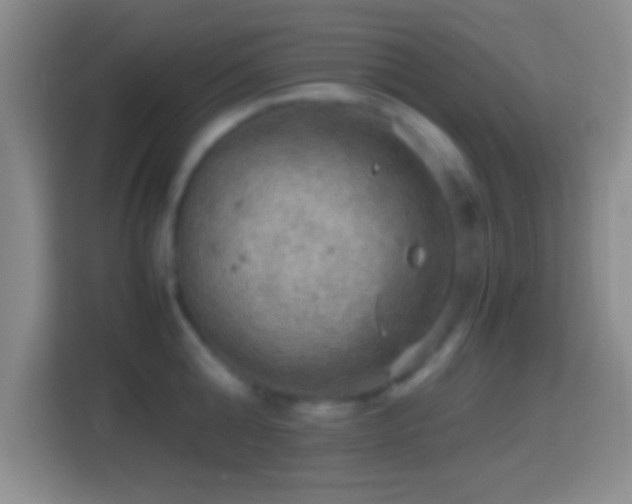 X0000114430808200910231232