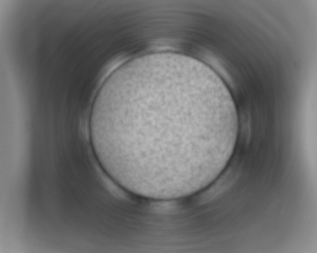 X0000114430810200910231232