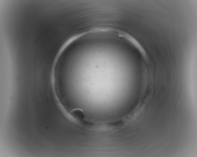 X0000114430811200910231232
