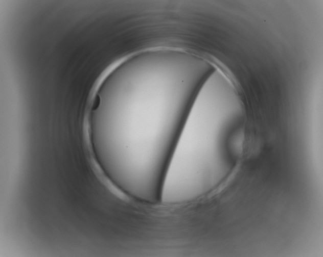 X0000114430812200910231232