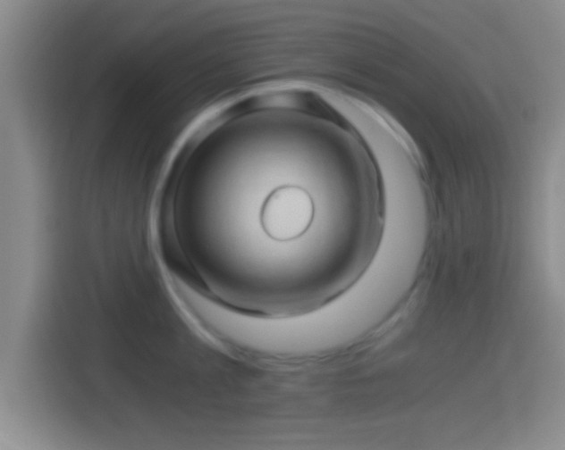 X0000114430813200910231232