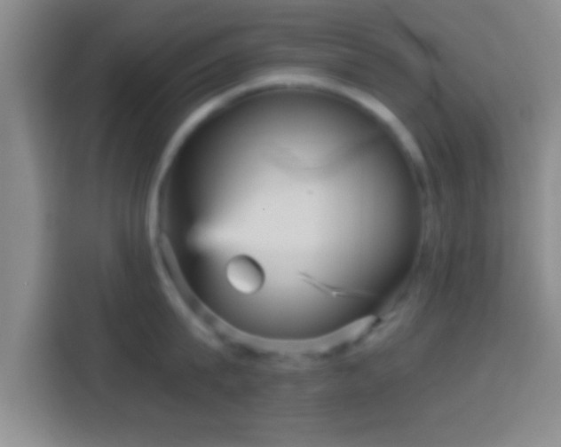 X0000114430815200910231232