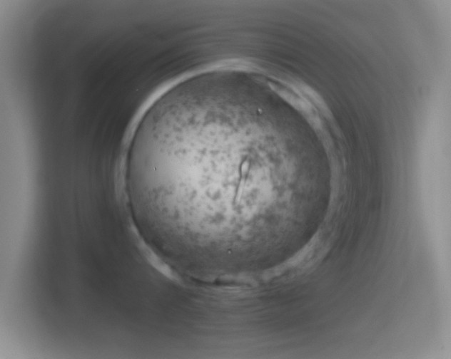 X0000114430816200910231232