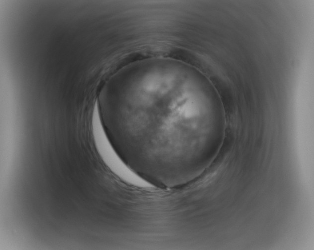 X0000114430818200910231232