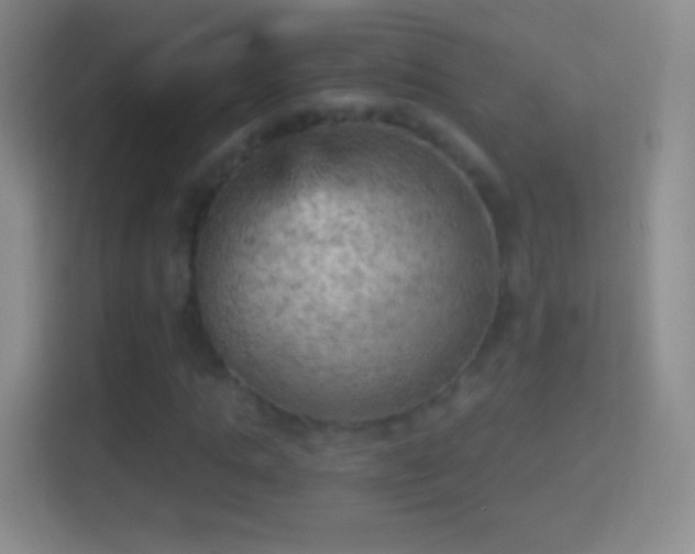 X0000114430821200910231232