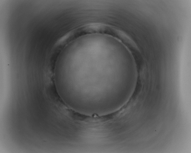 X0000114430822200910231232