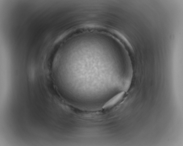 X0000114430823200910231232