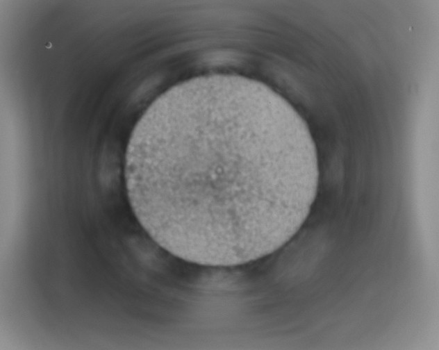 X0000114430824200910231232