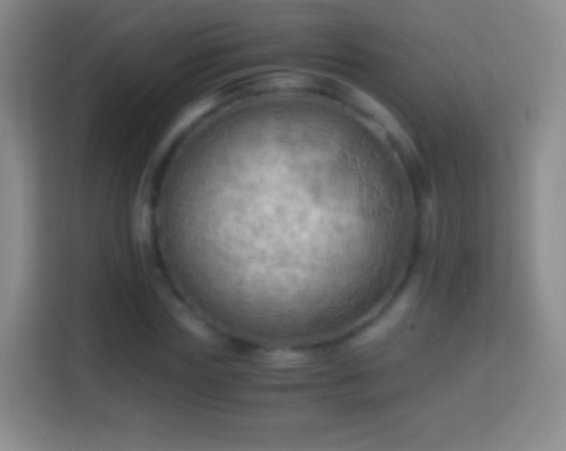 X0000114430827200910231232