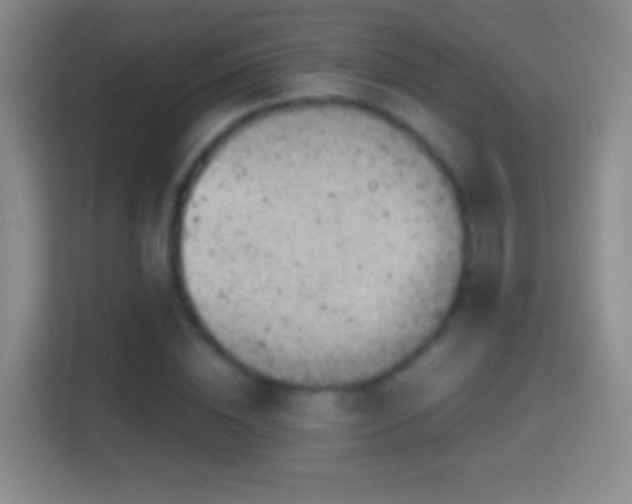 X0000114430828200910231232
