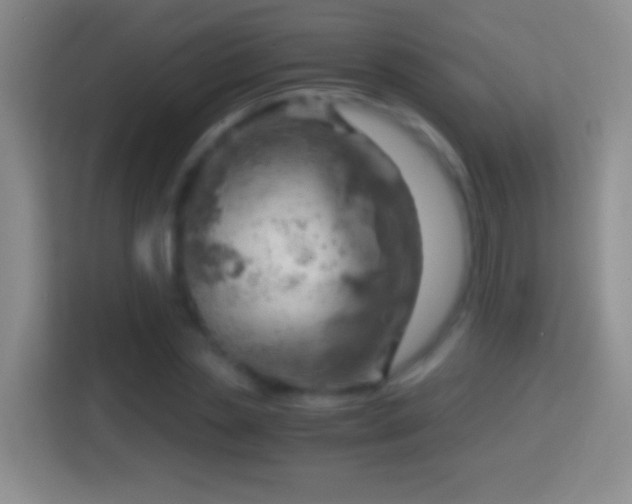 X0000114430829200910231232