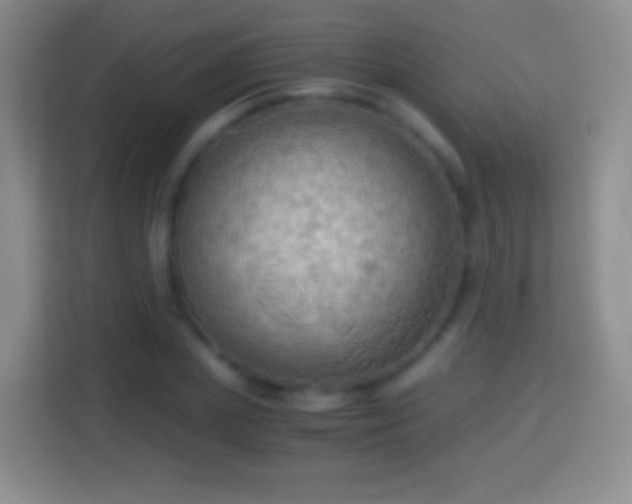 X0000114430831200910231232