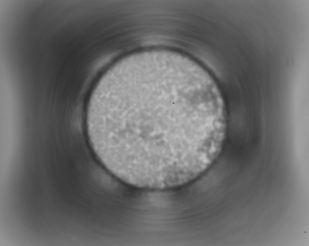 X0000114430832200910231232