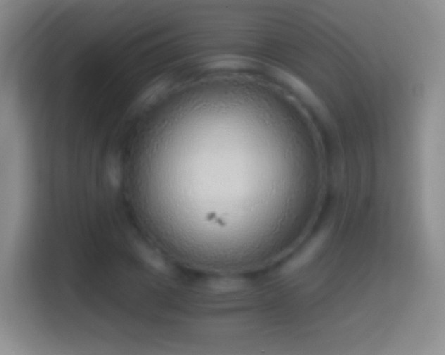 X0000114430833200910231232