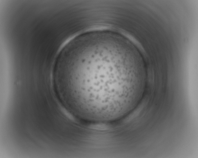 X0000114430834200910231232