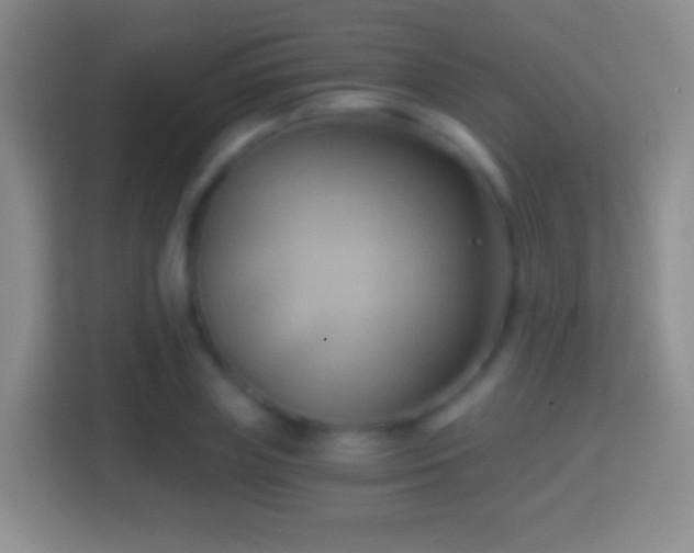X0000114430835200910231232