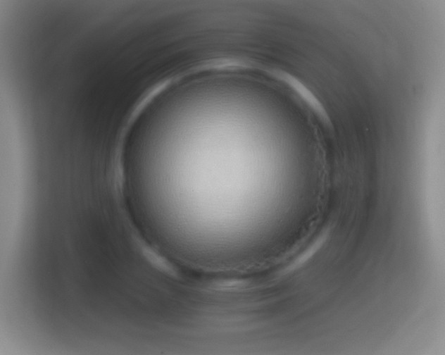 X0000114430837200910231232