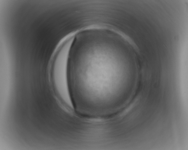 X0000114430838200910231232