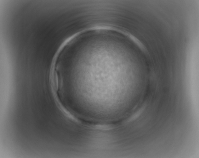 X0000114430840200910231232