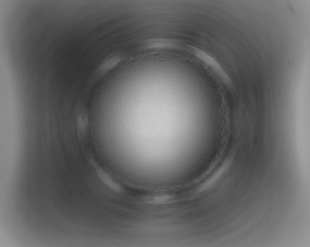 X0000114430841200910231232