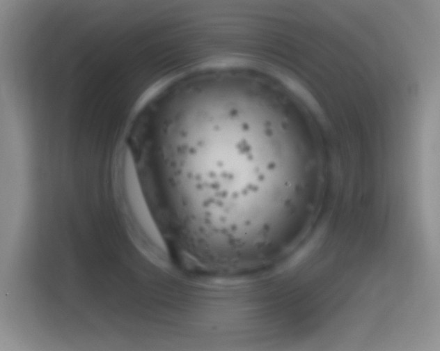 X0000114430842200910231232