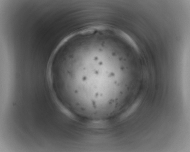 X0000114430843200910231232
