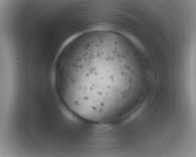 X0000114430846200910231232