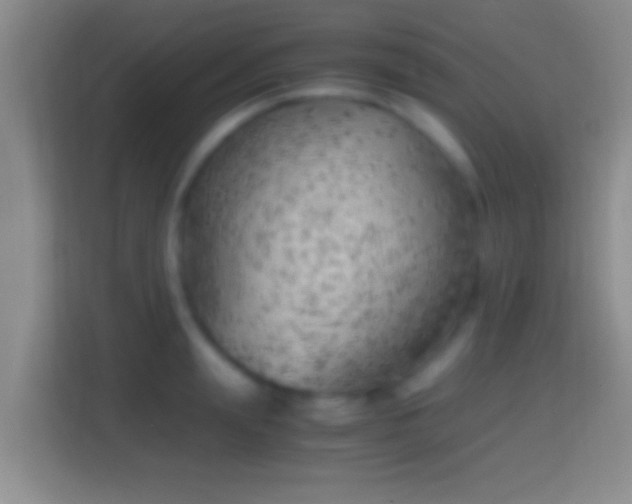X0000114430847200910231232