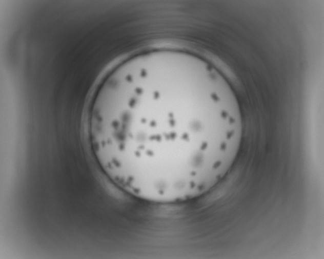 X0000114430848200910231232