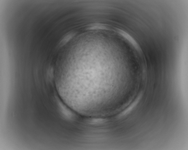 X0000114430849200910231232