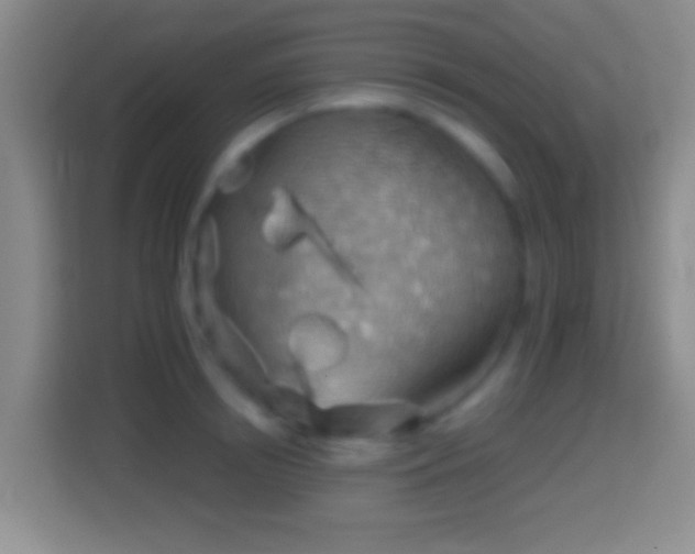 X0000114430850200910231232